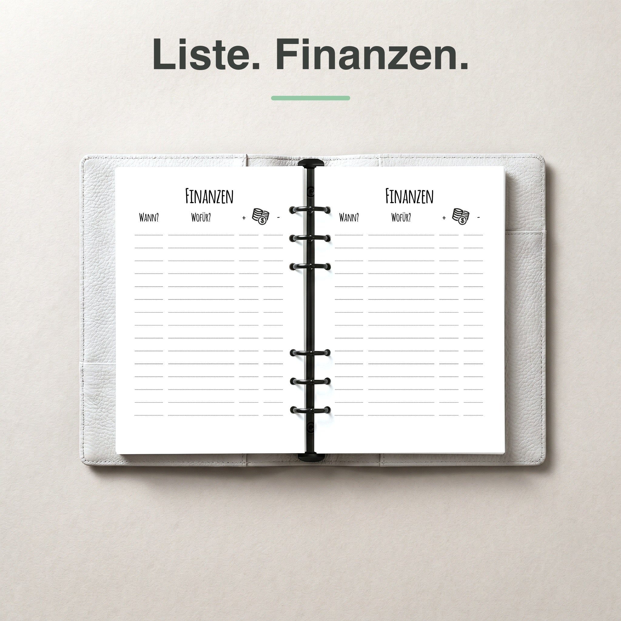 
A5 Finanzliste undatiert, aufgeschlagen im Ringplaner
