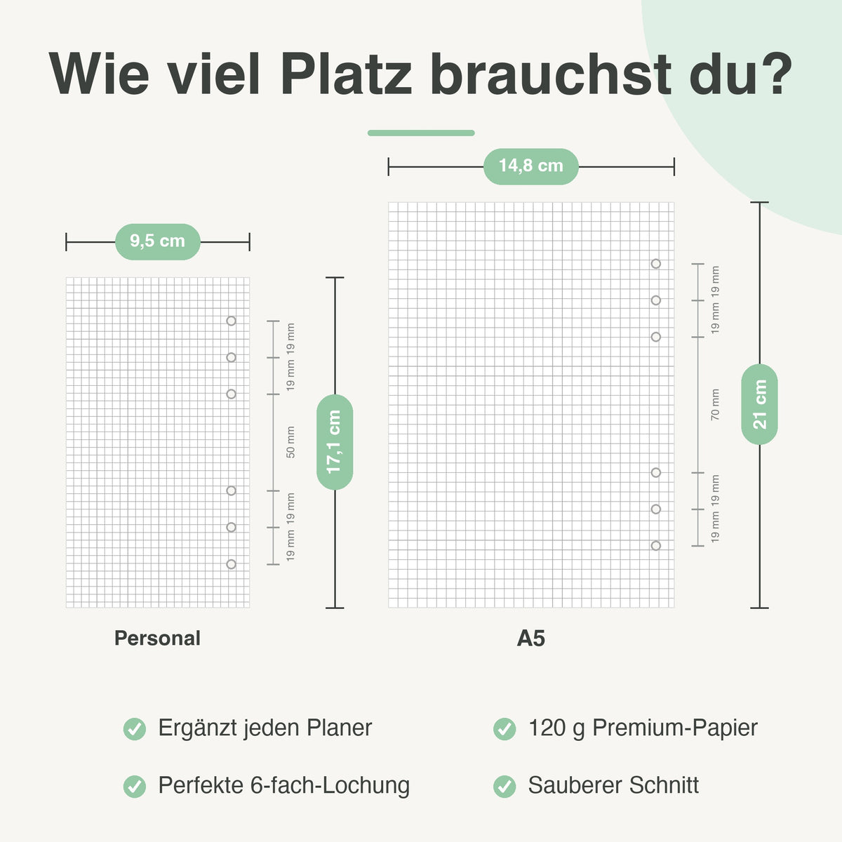 
Größenvergleich Personal und A5: 9,5 × 17,1 cm neben 14,8 × 21 cm, mit 6-fach-Lochung